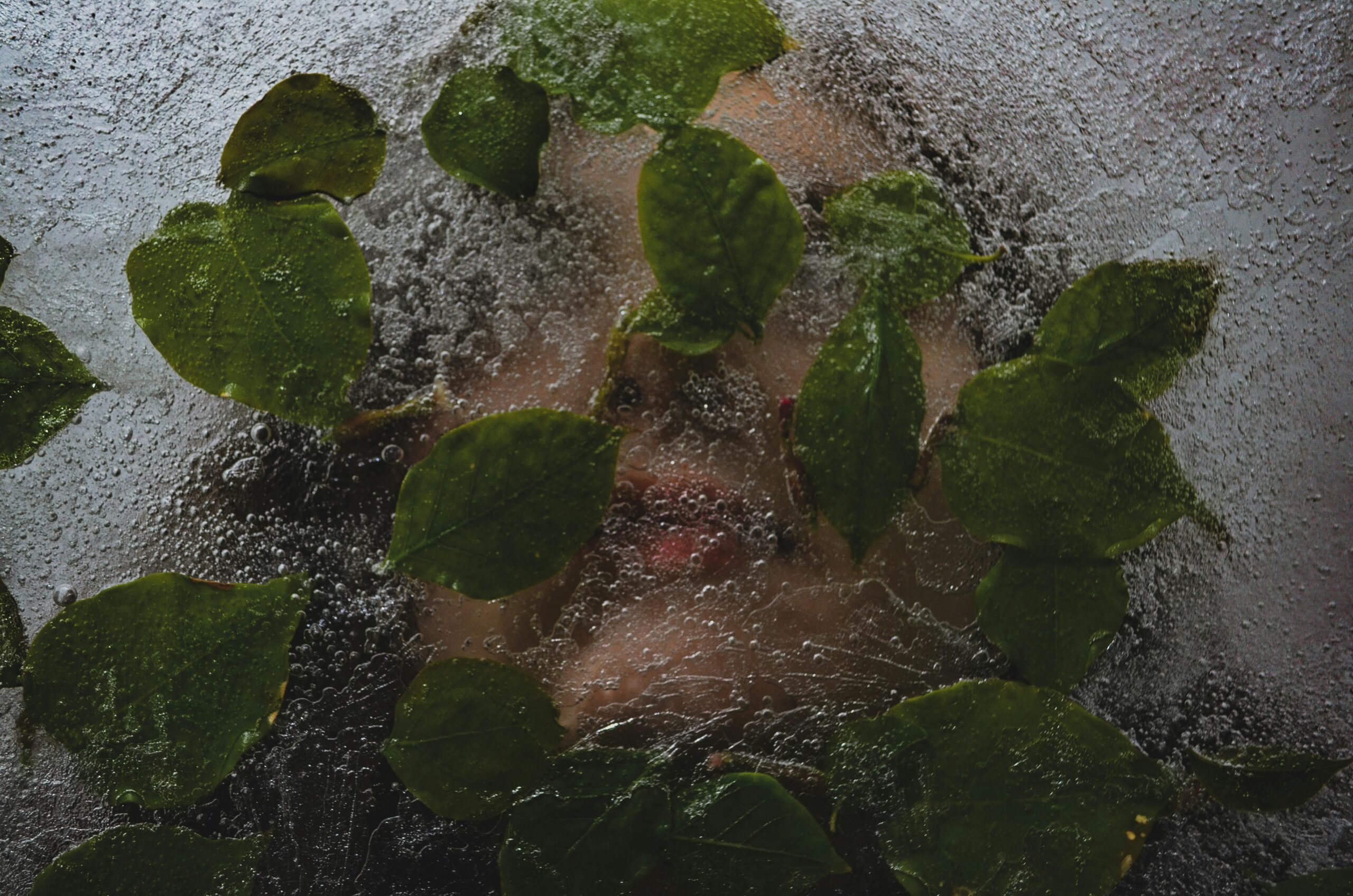 freeze response depicted by ice over a person 