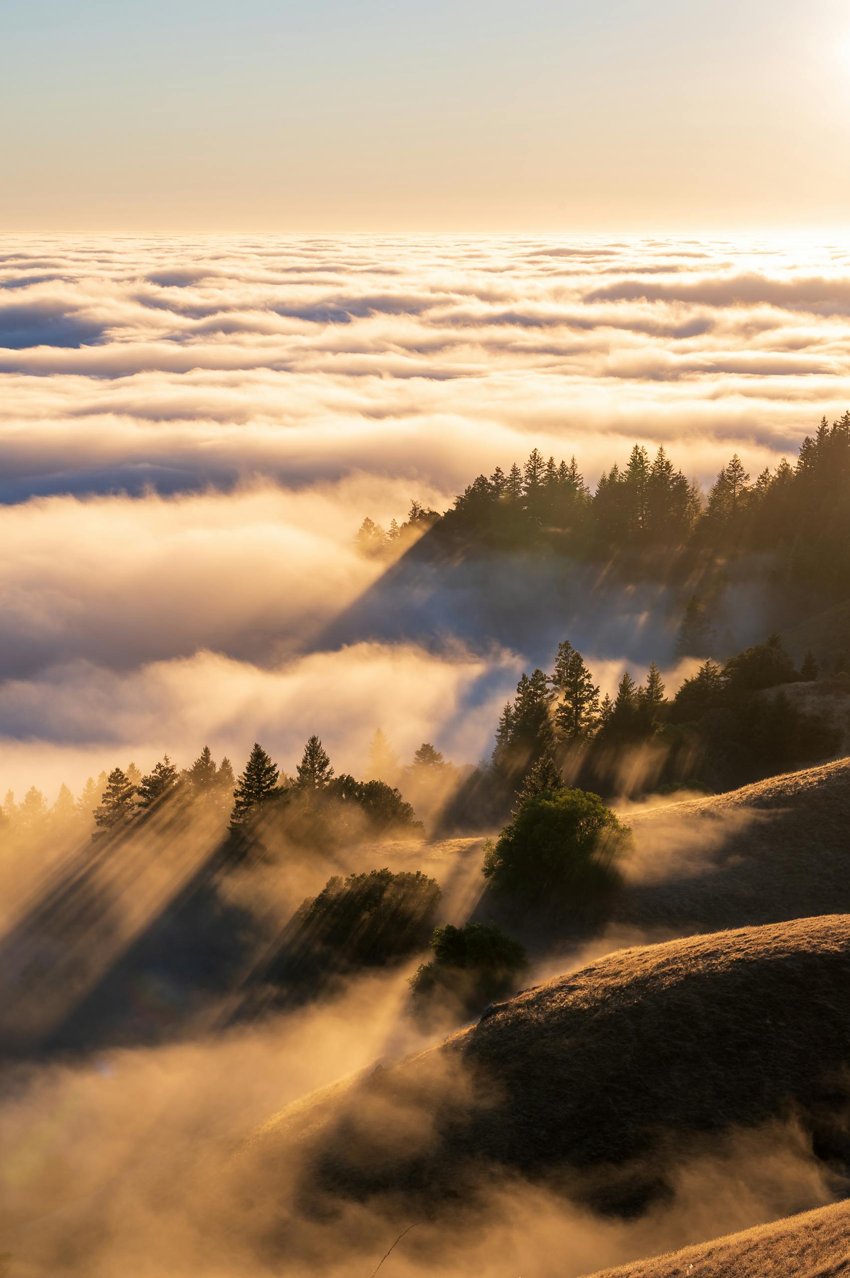 let the light in represented by sunlight above clouds for distance healing sessions